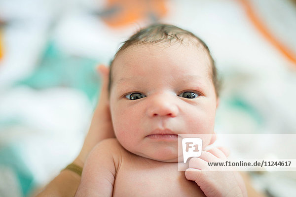 Portrait of new born baby boy looking at camera