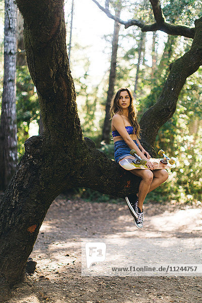 Frau auf Baum sitzend  Santa Cruz  Kalifornien  USA