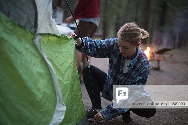 Young woman crouching to prepare tent at dusk  Mammoth Lakes  California  USA