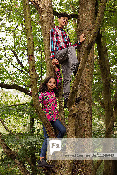 Bildnis von Bruder und Schwester im Baum stehend