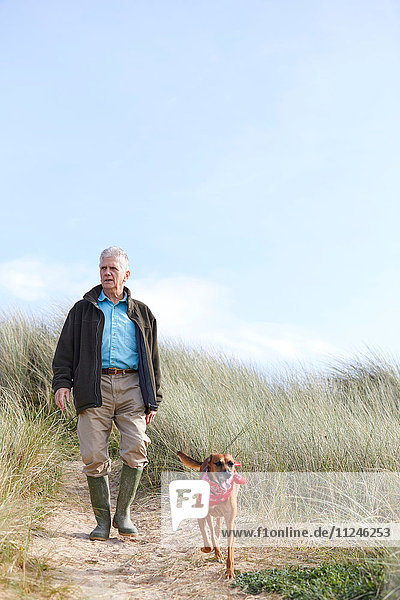 Man walking pet dog on sand dunes  Constantine Bay  Cornwall  UK