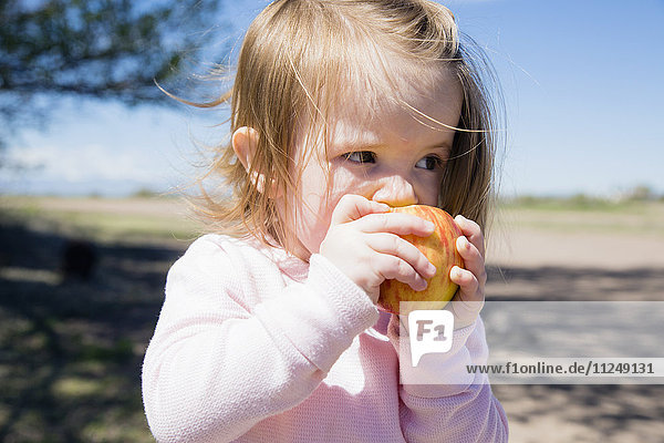 Porträt eines Mädchens (2-3)  das einen Apfel isst