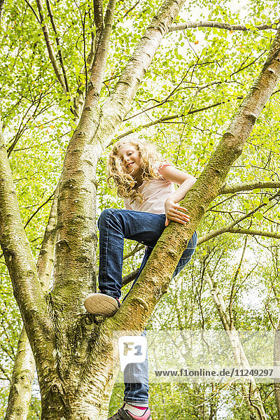 Mädchen (8-9) klettert auf Baum