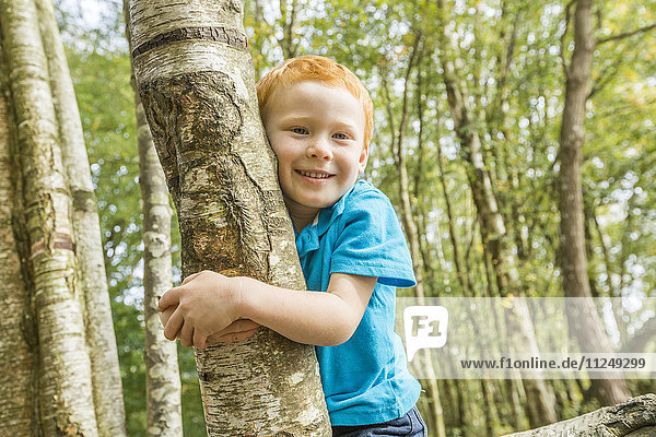 Smiling boy (2-3) hugging tree