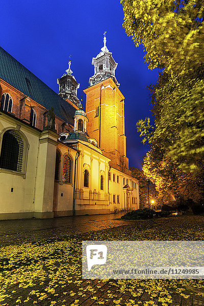 Kathedrale von Gniezno Gniezno  Großpolen  Polen