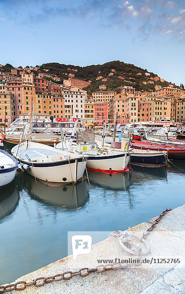 Sunset frames harbour and fishing village of Camogli Gulf of Paradise Portofino National Park Genoa province Liguria Italy Europe