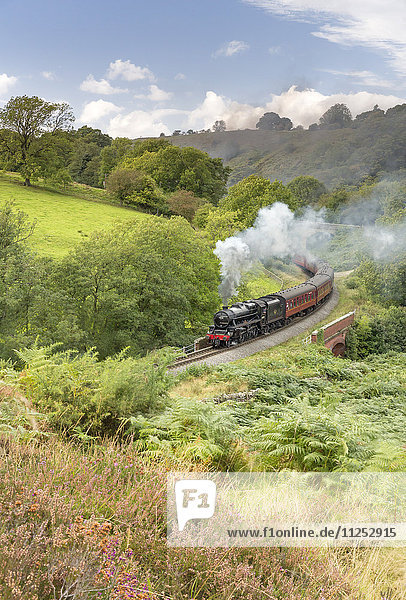 A steam locomotive approaching Goathland from Grosmont in September 2016  North Yorkshire  Yorkshire  England  United Kingdom  Europe