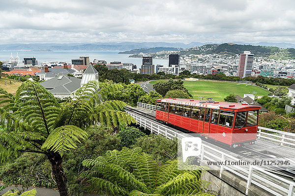 A cable car heads up the funicular railway high above Wellington  the capital city  North Island  New Zealand  Pacific