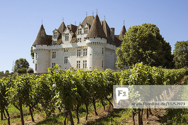 Schloss und Weinberg  Montbazillac  Dordogne  Frankreich  Europa