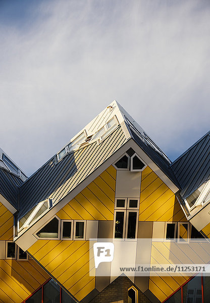 Blaakse Bos  Cube Houses  Oudehaven  Rotterdam  Niederlande  Europa