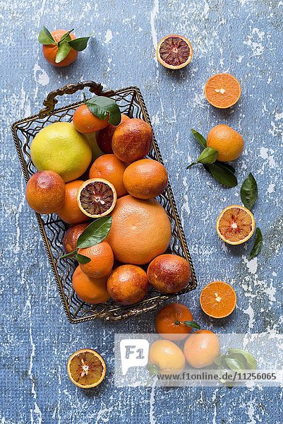 Blutorangen  Grapefruits  Orangen und Tangerinen im Drahtkorb