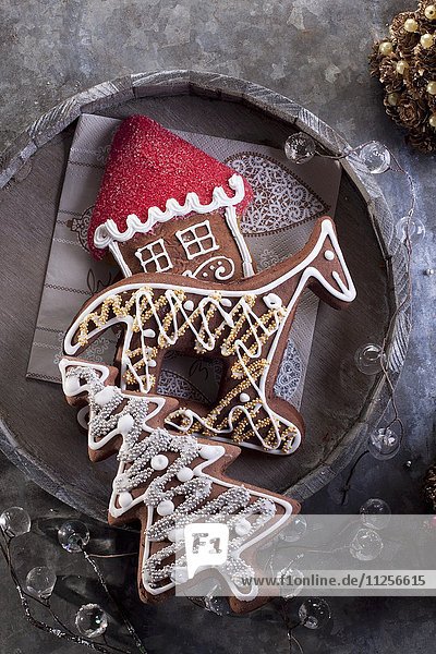 Weihnachtliche Lebkuchen (Tannenbaum  Pferdefigur  Haus)