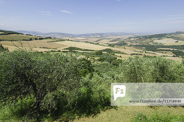 Italien  Toskana  Pienza  Landschaft mit blauem Himmel