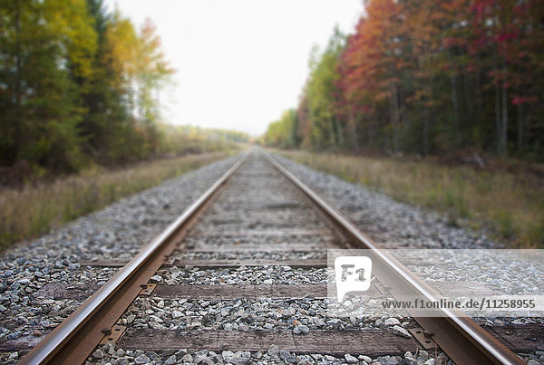 USA  New York State  Adirondack Mountains  Railroad tracks