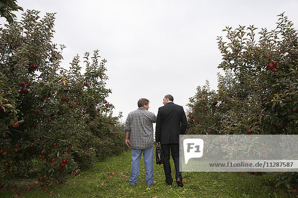 Businessman and Farmer in Orchard