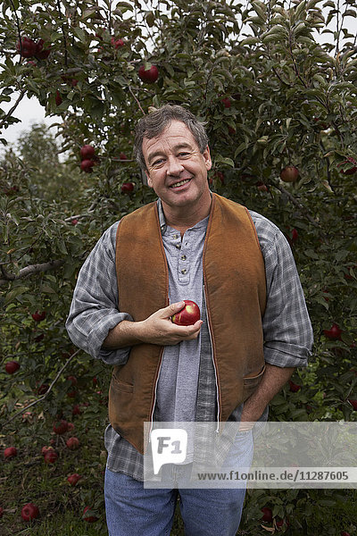 Porträt eines Apfelzüchters