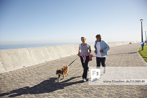 Ehepaar joggt mit Hund