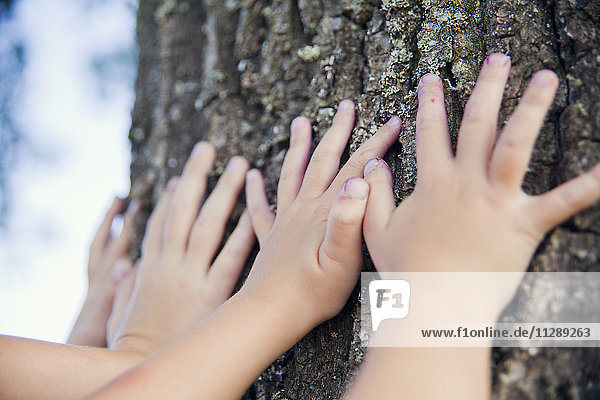 Kinderhand auf einem Baumstamm