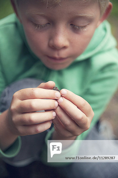 Junge mit kleinem Frosch