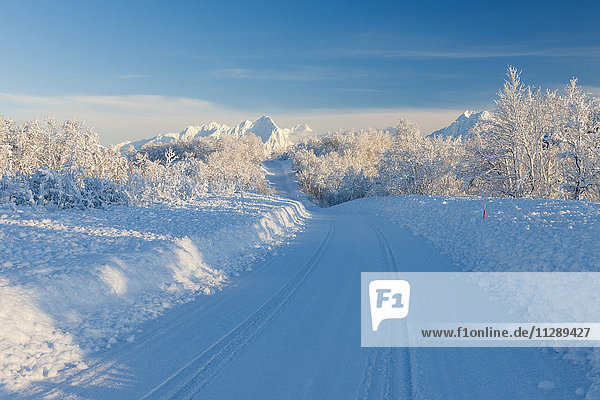 Snowy Road with Mountains in Winter  Breivikeidet  Troms  Norway