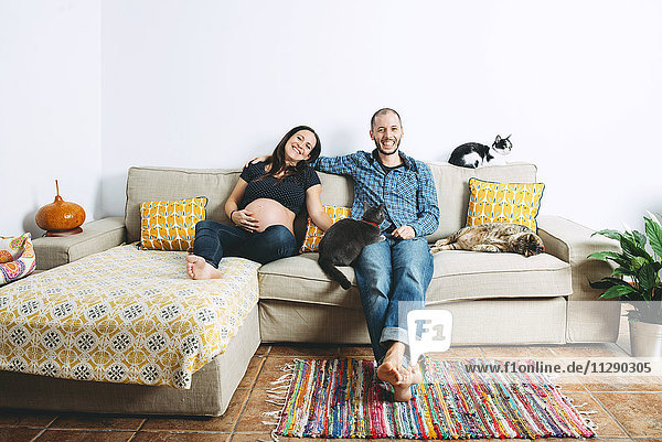 Ein glückliches Paar erwartet ein Baby  das zu Hause mit drei Katzen auf der Couch sitzt.