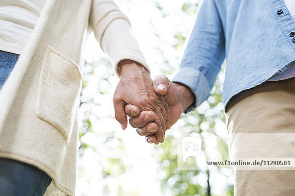 Seniorenpaar hält Hände in der Natur  Teilansicht