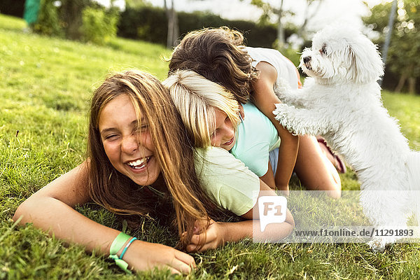 Drei Mädchen haben Spaß mit einem Welpen auf einer Wiese