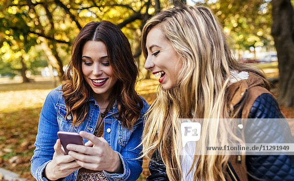 Two young women with smartphone in a park in autumn