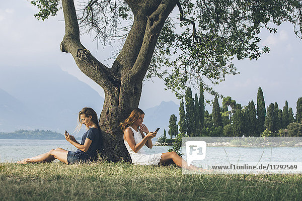 Italy  Lake Garda  two young women leaning against a tree using cell phones
