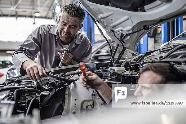 Zwei Kfz-Mechaniker in einer Werkstatt  die zusammen den Wagen reparieren.