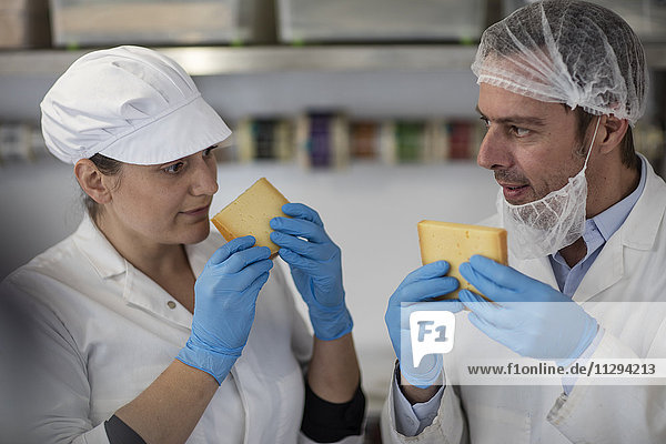 Käsereiarbeiter prüfen die Qualität des Käses