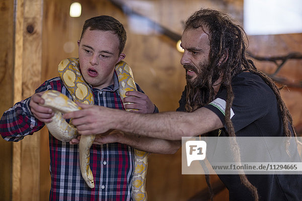 Animal attendant handing over albino python snake to young man with down syndrome