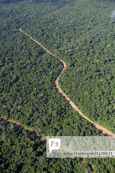 Straße durch den Amazonas-Regenwald  wird von der Holzmafia benutzt für illegalen Holztransport  Distrikt Trairao  Bundesstaat Pará  Brasilien  Südamerika