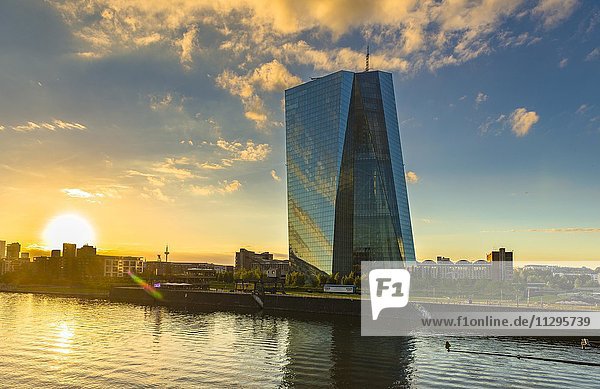 Europäische Zentralbank bei Sonnenuntergang mit Skyline  Frankfurt am Main  Hessen  Deutschland  Europa