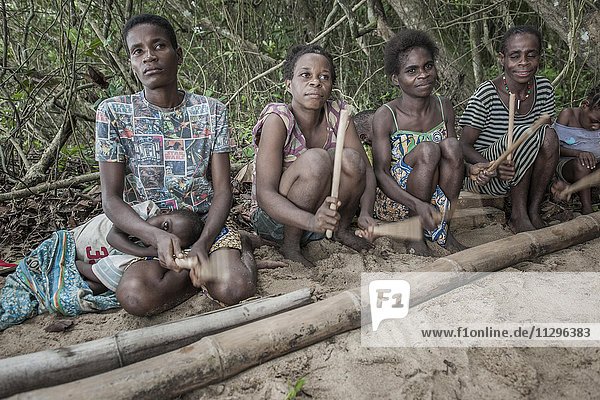 Pygmäen vom Volk der Baaka  oder Baka  oder Ba'aka  Musikalische Darbietung und Tanz  Grand Batanga  Region Süd  Kamerun  Afrika