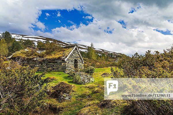 Alte Steinhütte mit Grasdach  Utvikfjell  Byrkjelo  Utvik  Hordaland  Norwegen  Europa