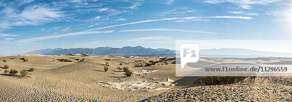 Mesquite Flat Sand Dunes with Amargosa Mountain Range foothills  Death Valley National Park  California  USA  North America