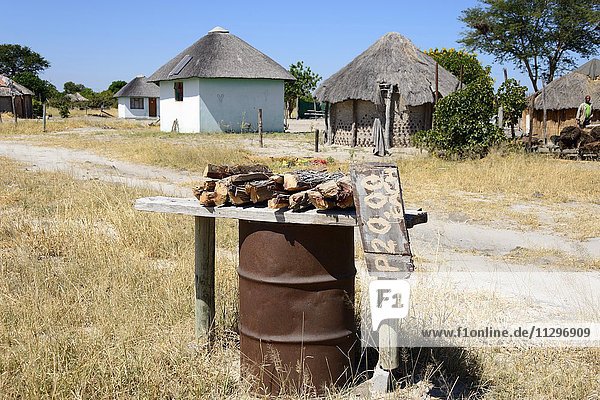 Verkauf von Feuerholz  Khwai Village  Botswana  Afrika