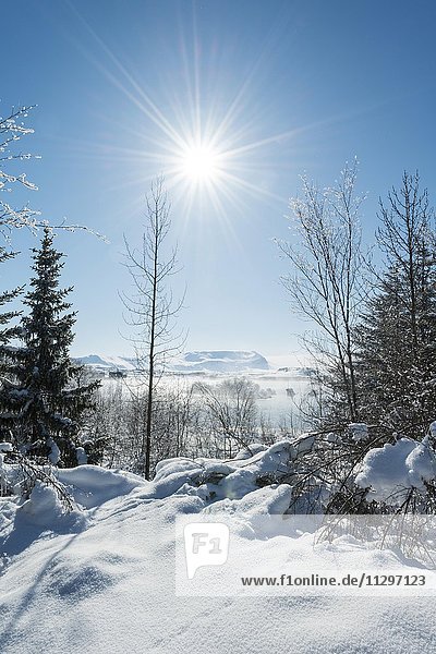 Winter landscape at Lake Mývatn North Iceland Iceland Europe