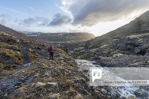 Young woman on hiking trail  Canyon of Glymur  Hvalfjarðarsveit  Western Region  Iceland  Europe