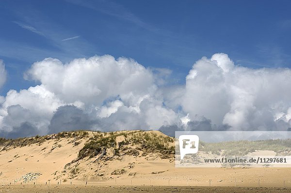 Dune with cumulus clouds (cumulus)  Atlantic Coast  La Tranche sur Mer  Vandee  France  Europe