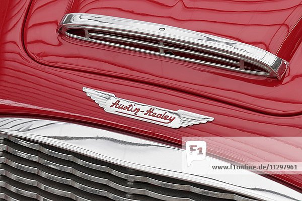 Austin Healey emblem on a Roadster  British classic car