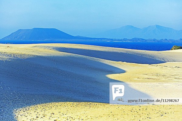 Sanddünen  Corralejo Naturpark  hinten Insel Lobos  Fuerteventura  Kanarische Inseln  Spanien  Europa
