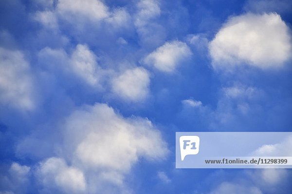 Wetterphänomen Schäfchenwolken (Cirrocumulus) am Himmel