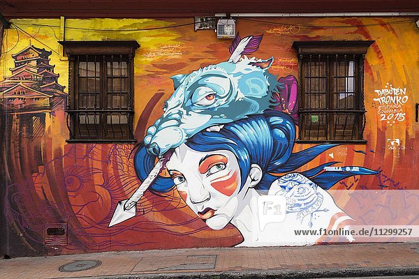 Graffiti  Street Art  Wandgemälde  Bogotá  Distrikt La Concordia  Kolumbien  Südamerika
