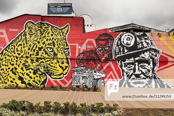 Graffiti  Street Art  Wandgemälde  Bogotá  Distrikt Las Américas  Kolumbien  Südamerika