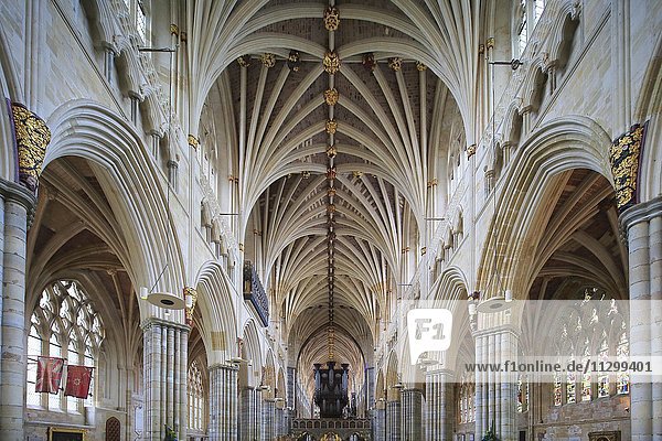 Fächergewölbe  Langhaus  Kathedrale St. Peter Exeter  Exeter  Devon  England  Vereinigtes Königreich