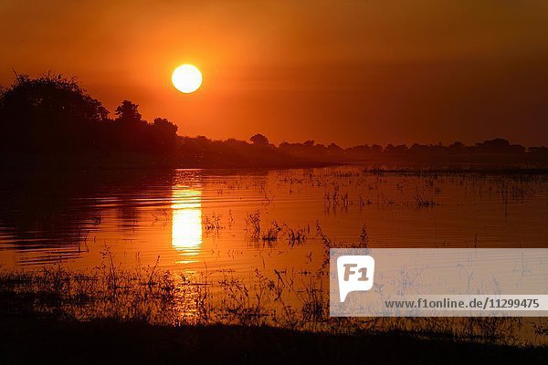 Roter Sonnenuntergang  Fluss Chobe  Chobe Nationalpark  Botswana  Afrika