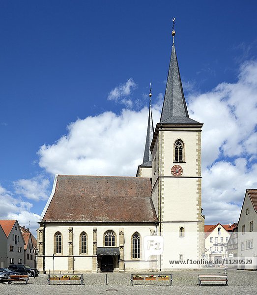 Katholische Stadtpfarrkirche St. Kilian  Haßfurt  Unterfranken  Bayern  Deutschland  Europa