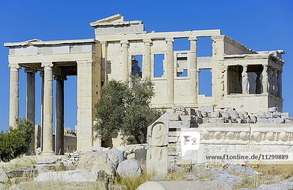 Die Karyatiden  Erechtheion Tempel  ionischer Tempel der Athena  Akropolis  Athen  Griechenland  Europa